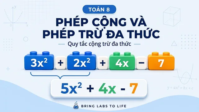 Ảnh bài học Phép cộng và phép trừ đa thức
